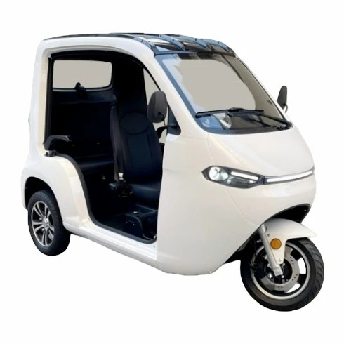 Electric Leisure Tricycle best